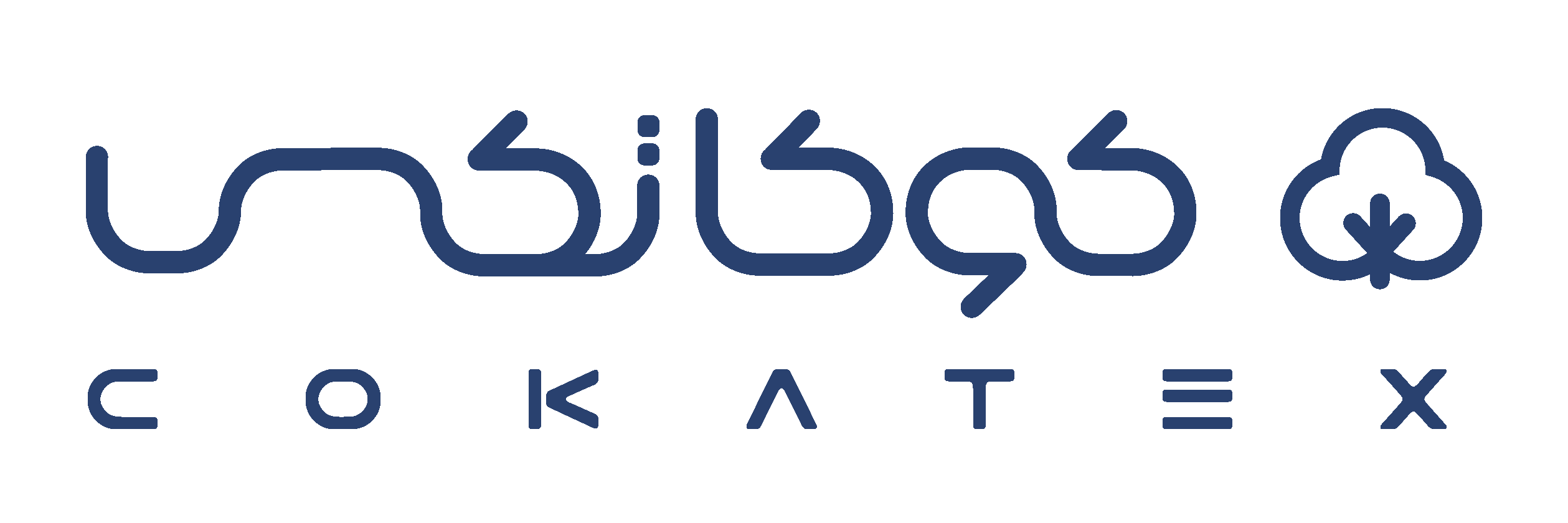 توسعه هوشمند ورنا ایرانیان